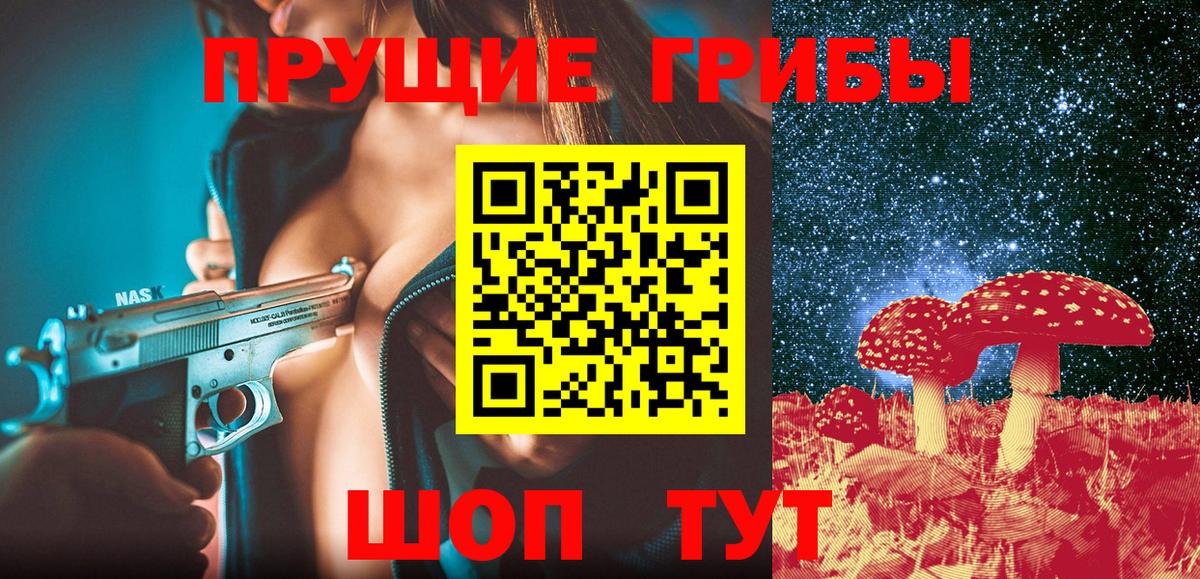 Галлюциногенные грибы Psilocybine cubensis Можайск